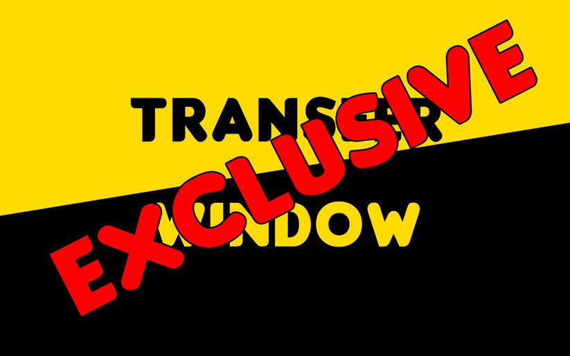 Image for Exclusive: Hammers Expected To Accept Diouf Departure | West Ham News