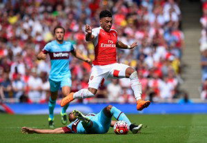 OX