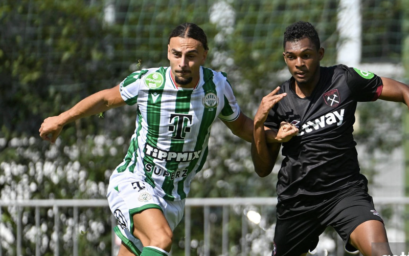 Image for Unknown and Ignored Paceman Could Strike Fear into Forest