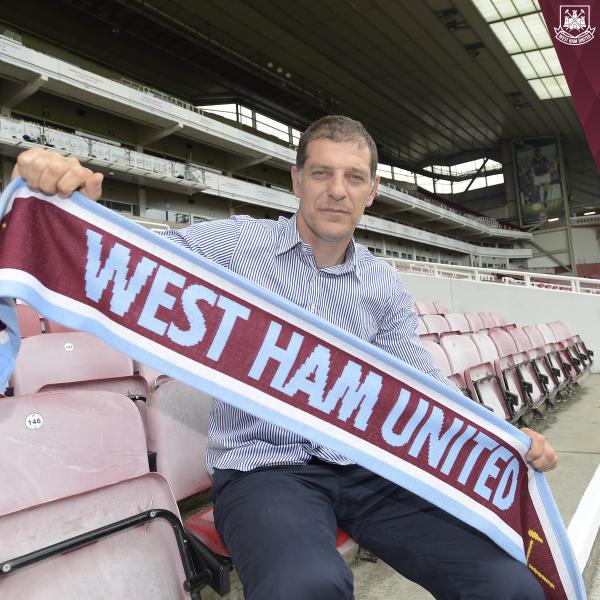 bilic7