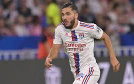 Image for Hammers Eye Lyon Trickster Transfer